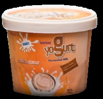 KHATI Sweet Yogurt (500ml)